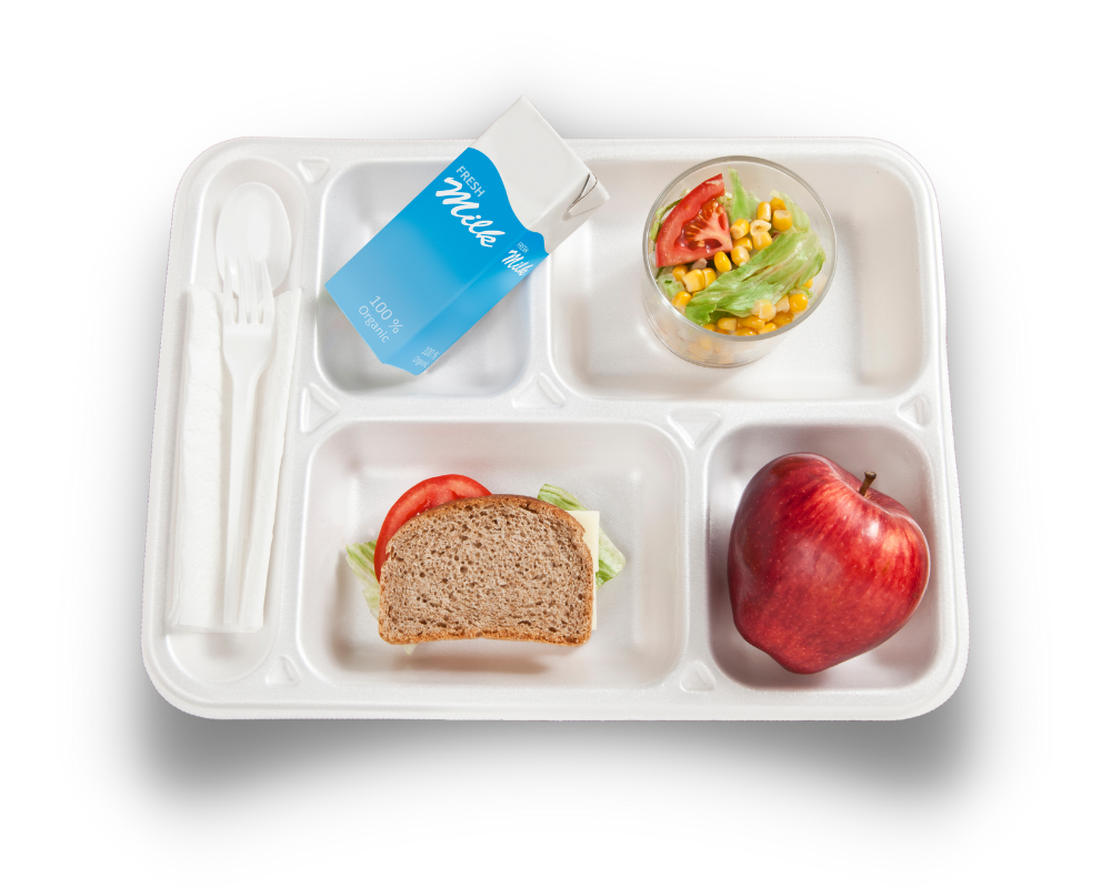 Lunch tray for school students